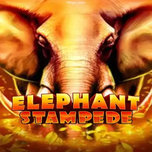 Embark on an Adventure with ElephantStampede