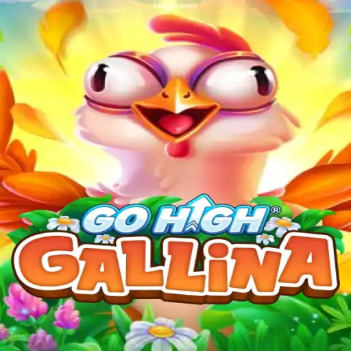 Exploring the Thrilling World of GoHighGallina